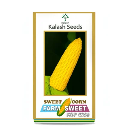 Kalash KSP 5389 SweetCorn