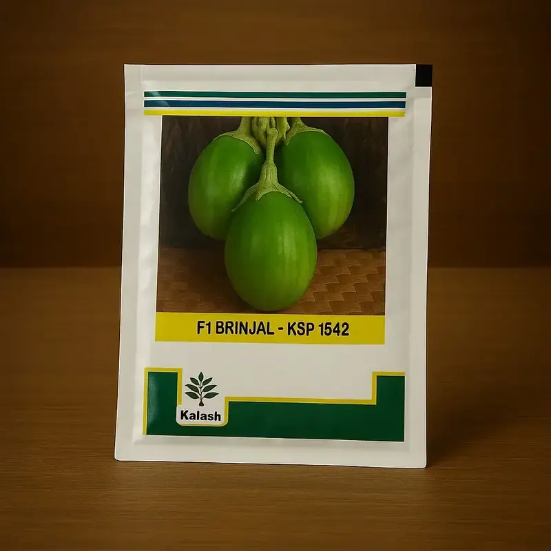 851 - 2026-10-03T121525.710 Kalash ksp 1542 F1 Hybrid Brinjal Seeds - Image 1