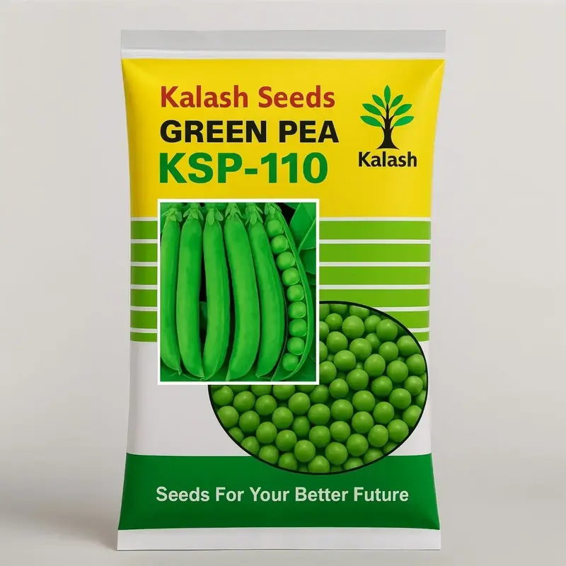 851 - 2026-10-03T123043.147 Kalash Seeds KSP 110 – Premium Green Pea Seeds - Image 1