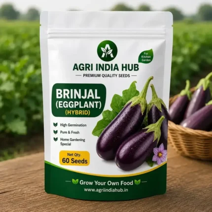 Brinjal (Eggplant) Seeds – 60 Seeds | Premium Kitchen Garden Seeds