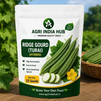 Ridge Gourd Seeds 25 Seeds | Turai Seeds for Home & Kitchen Garden