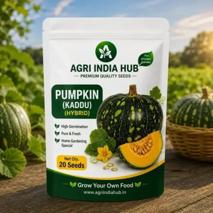 Pumpkin Seeds 20 Seeds | Kaddu Seeds for Home & Kitchen Garden
