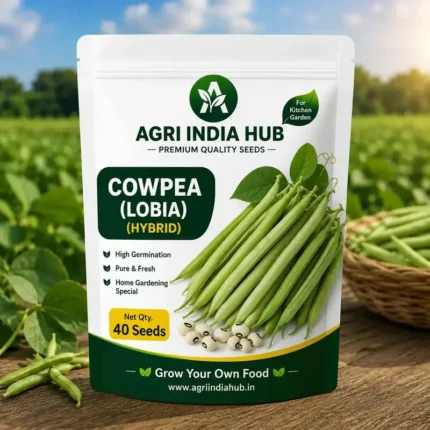 Cowpea Seeds 40 Seeds | Lobia Seeds for Home & Kitchen Garden
