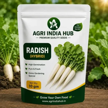 Radish Seeds 10 Gm | Mooli Seeds for Home & Kitchen Garden