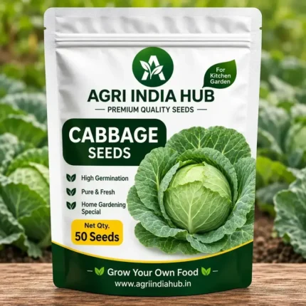 Cabbage Seeds 50 Seeds | Patta Gobhi Seeds for Home & Kitchen Garden