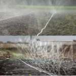 Kamal Agrotech Vegetable Garden Rain Pipe 40 mm 100 Mtr Garden Pipe (2 pic Roll) - Image 2
